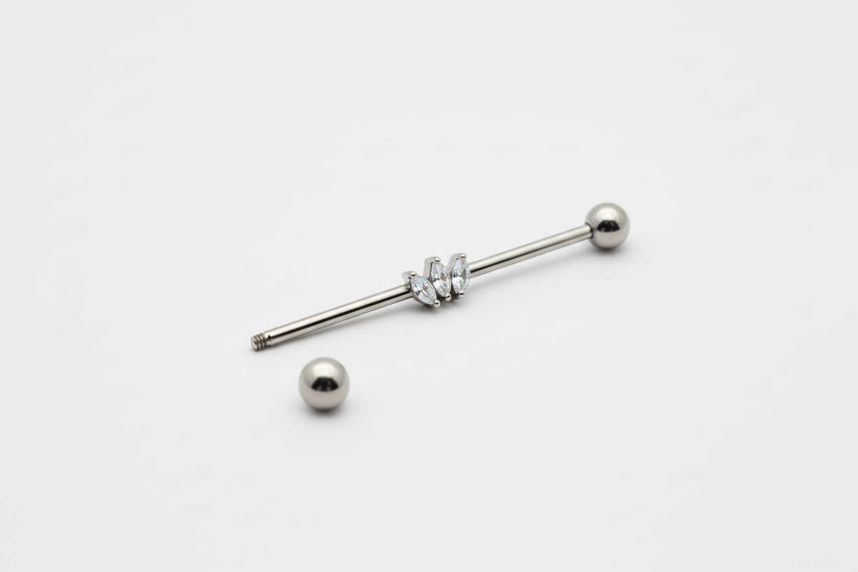 Silver Industrial Barbell Disassembled
